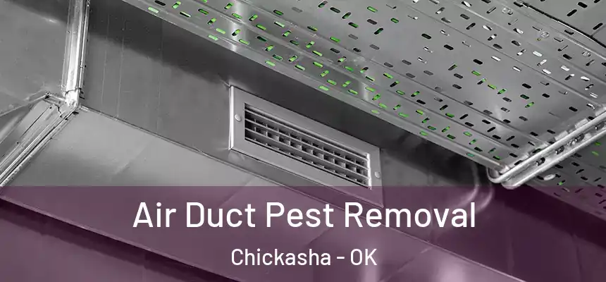  Air Duct Pest Removal Chickasha - OK
