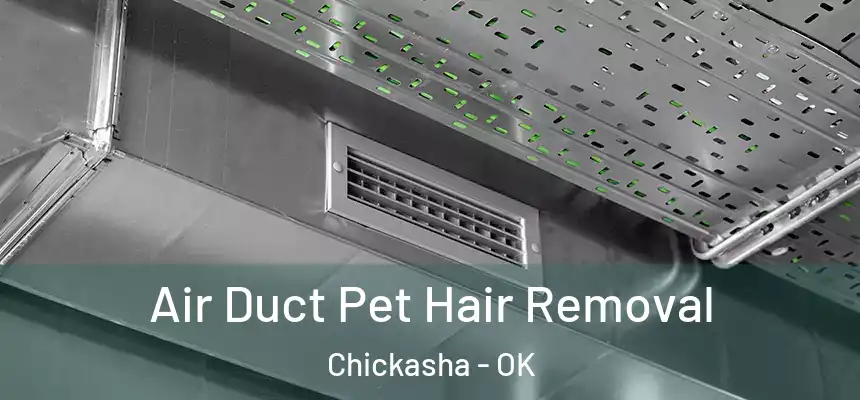  Air Duct Pet Hair Removal Chickasha - OK