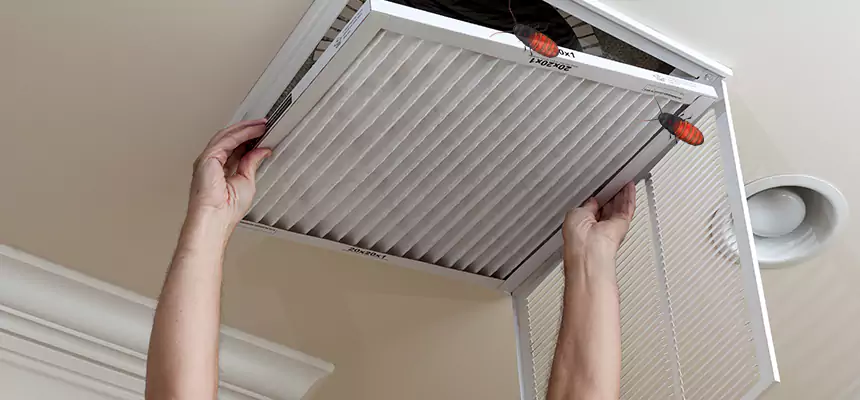 Preventive Cockroach-Proofing for Ducts in Chickasha