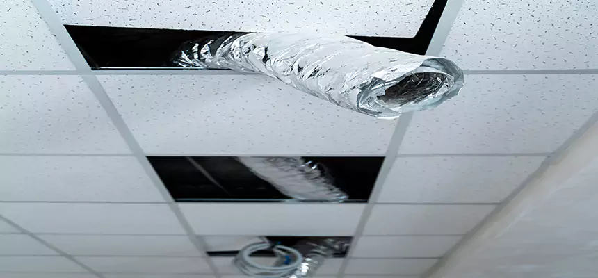 Affordable HVAC Sanitizing After Pest Removal in Chickasha