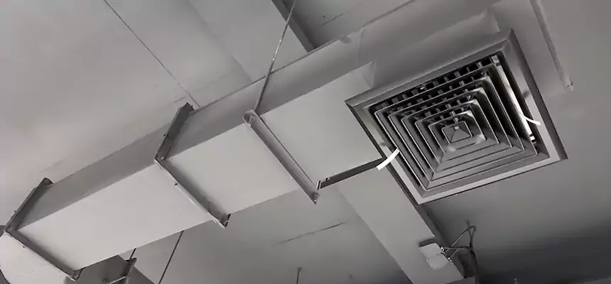 Our Pest Removal From Ducts Services in Chickasha, OK