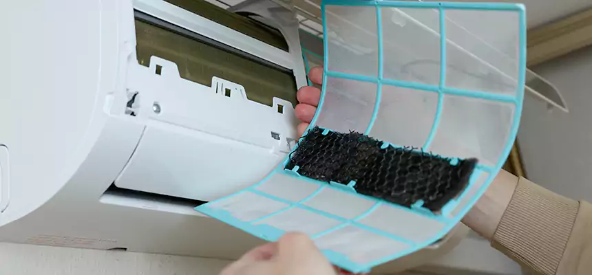 Gentle Ductwork Odor-Control Pet Dander Duct Cleaning in Chickasha, OK