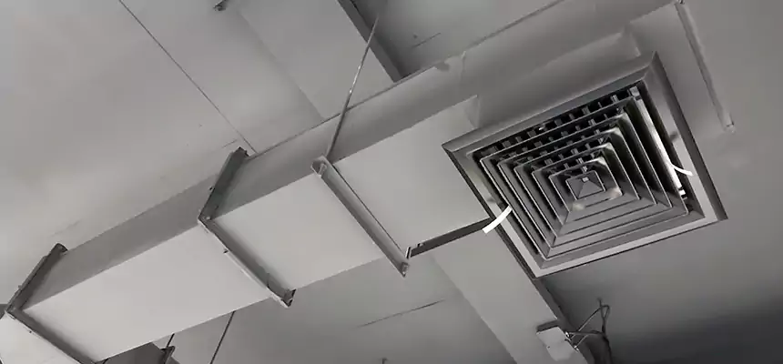 Our Rodent Droppings In Vents Services in Chickasha, OK