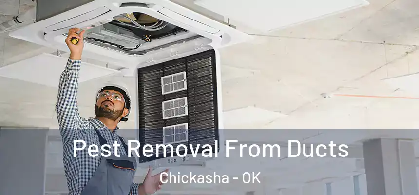  Pest Removal From Ducts Chickasha - OK