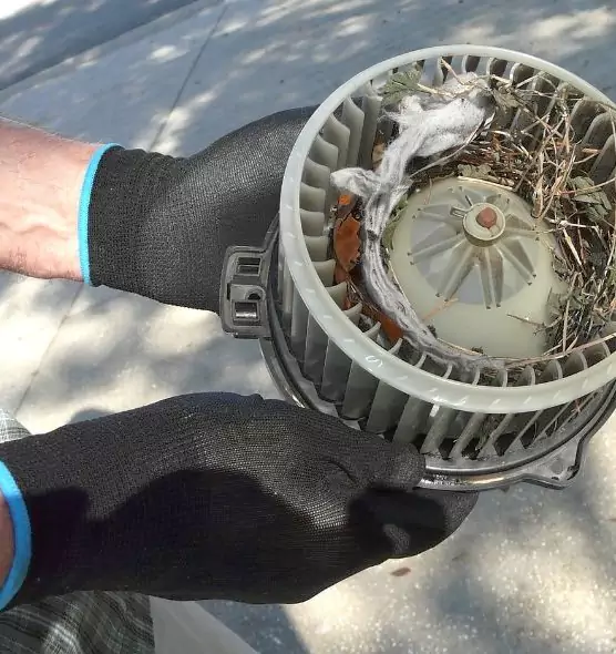 About Air Duct Rat Removal in Chickasha, OK