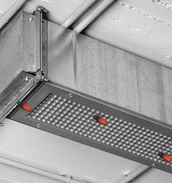 Affordable Insect Removal from Air Ducts in Chickasha, OK