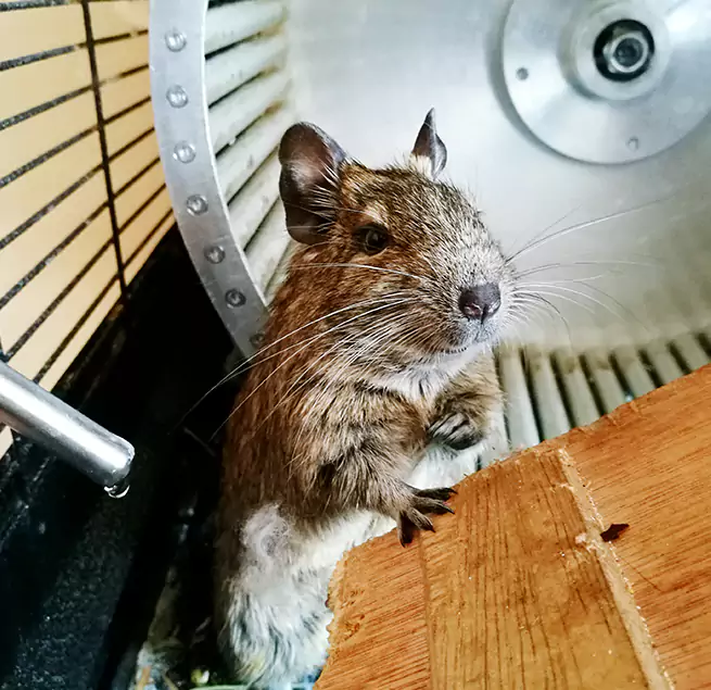 Why Homeowners & Businesses Trust Us Chickasha, OK